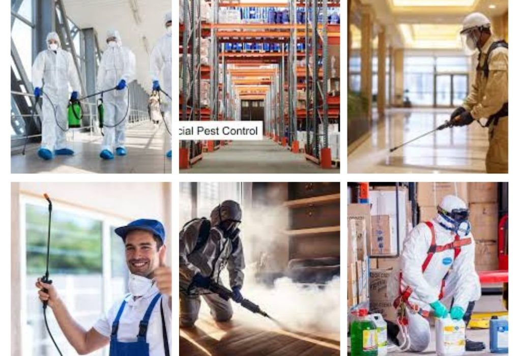 Pest Control & Fumigation Services in Jeddah Alahad Group Pest Control & Fumigation Services in Jeddah | Alahad Group