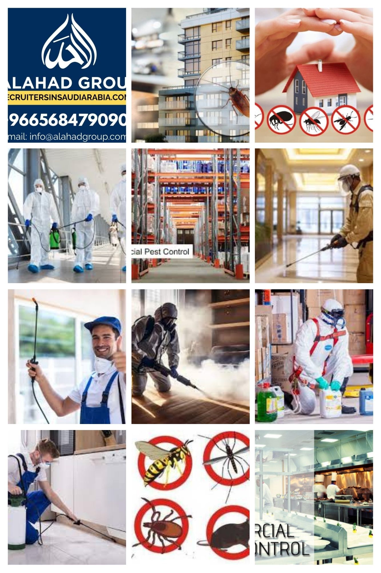 Pest Control & Fumigation Services in Jeddah | Alahad Group